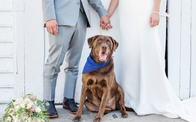 Jocelyn + Matt’s Lone Summit Ranch Wedding